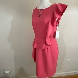 Calvin Klein N.W.T.sz 8 coral dress sheath ruffle